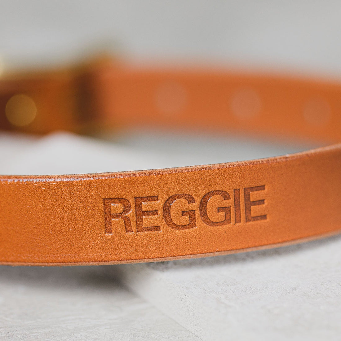 Leather Dog collar
