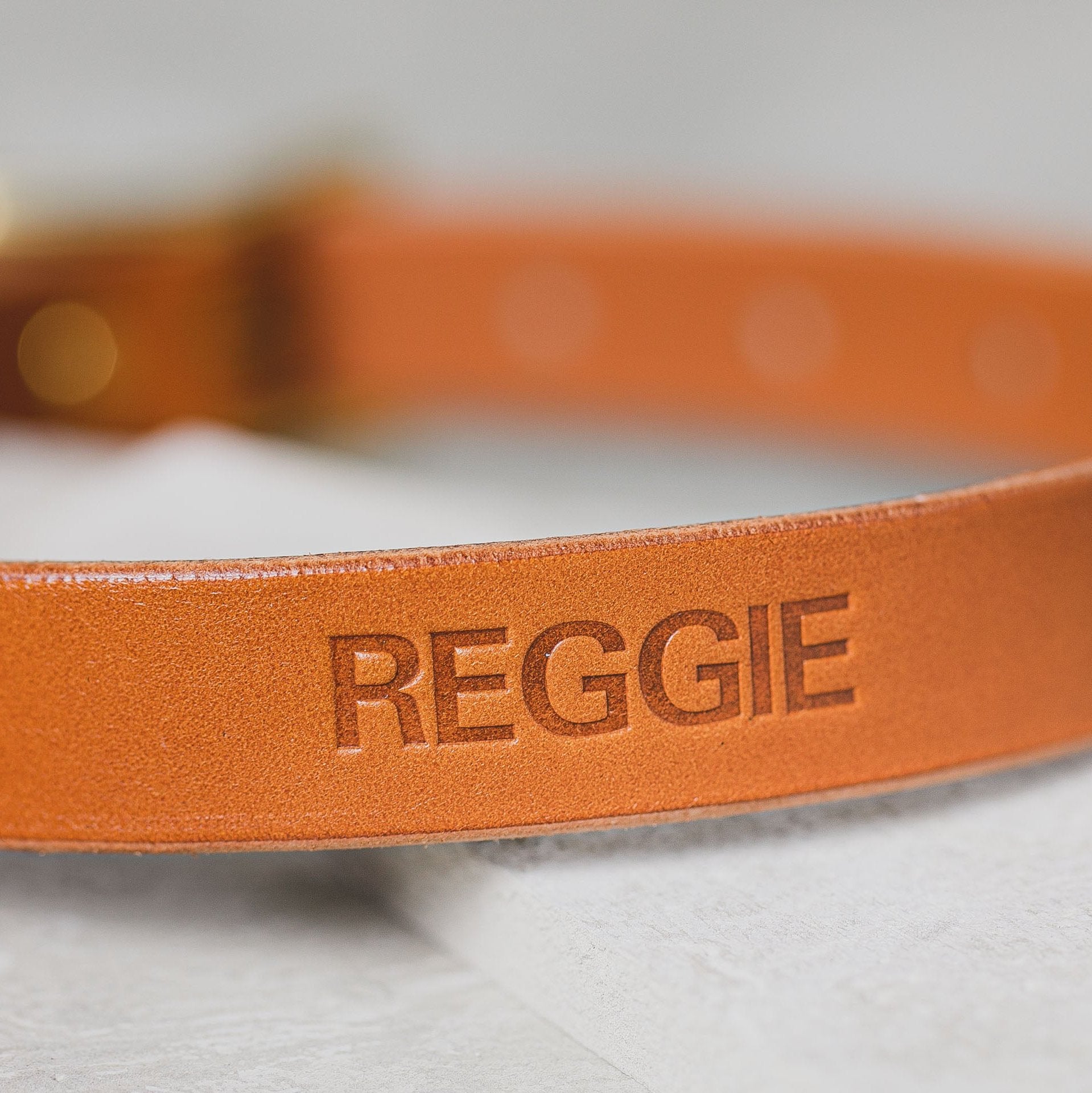 Leather Dog collar