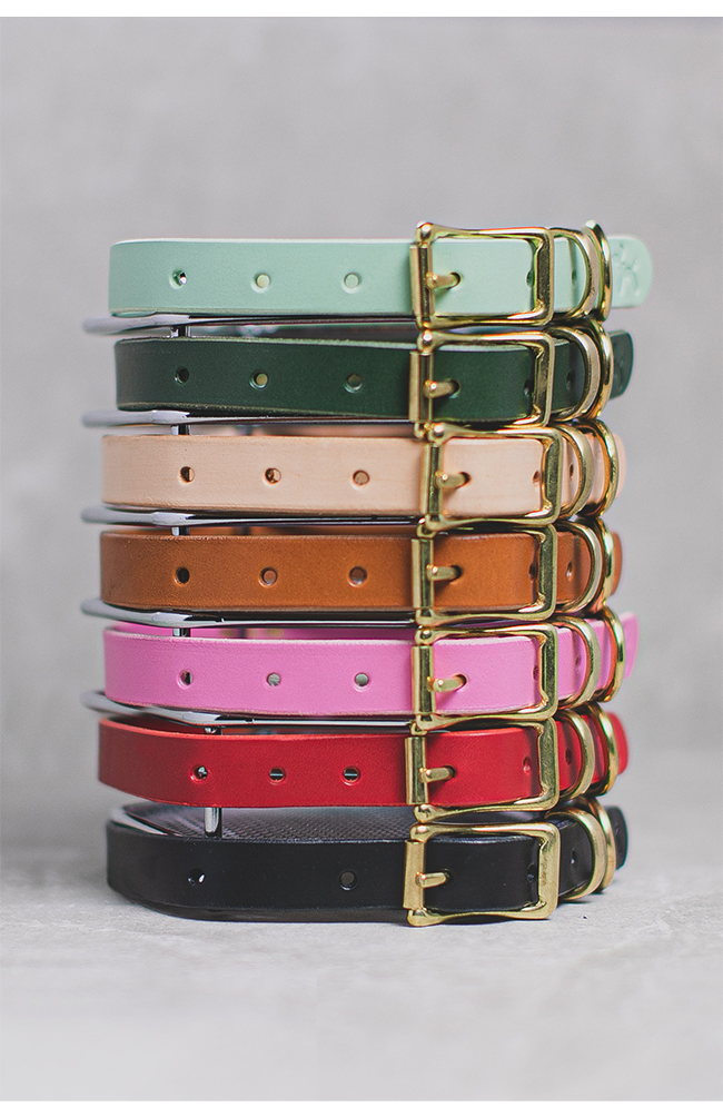 Leather Dog collar
