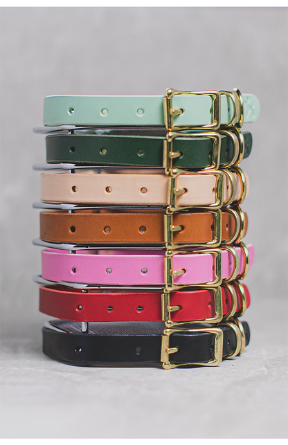 Leather Dog collar